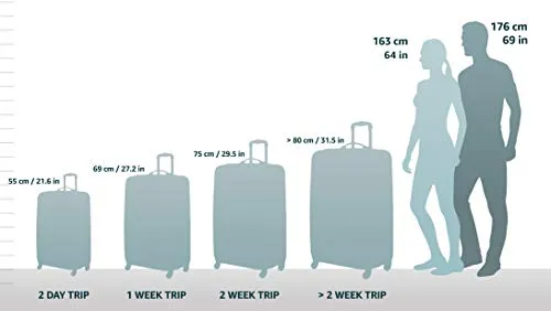 Delsey Luggage Montmartre Carry On Luggage Spinner Suitcase, Bordeaux Red