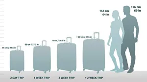 Delsey Luggage Montmartre Carry On Luggage Spinner Suitcase, Bordeaux Red