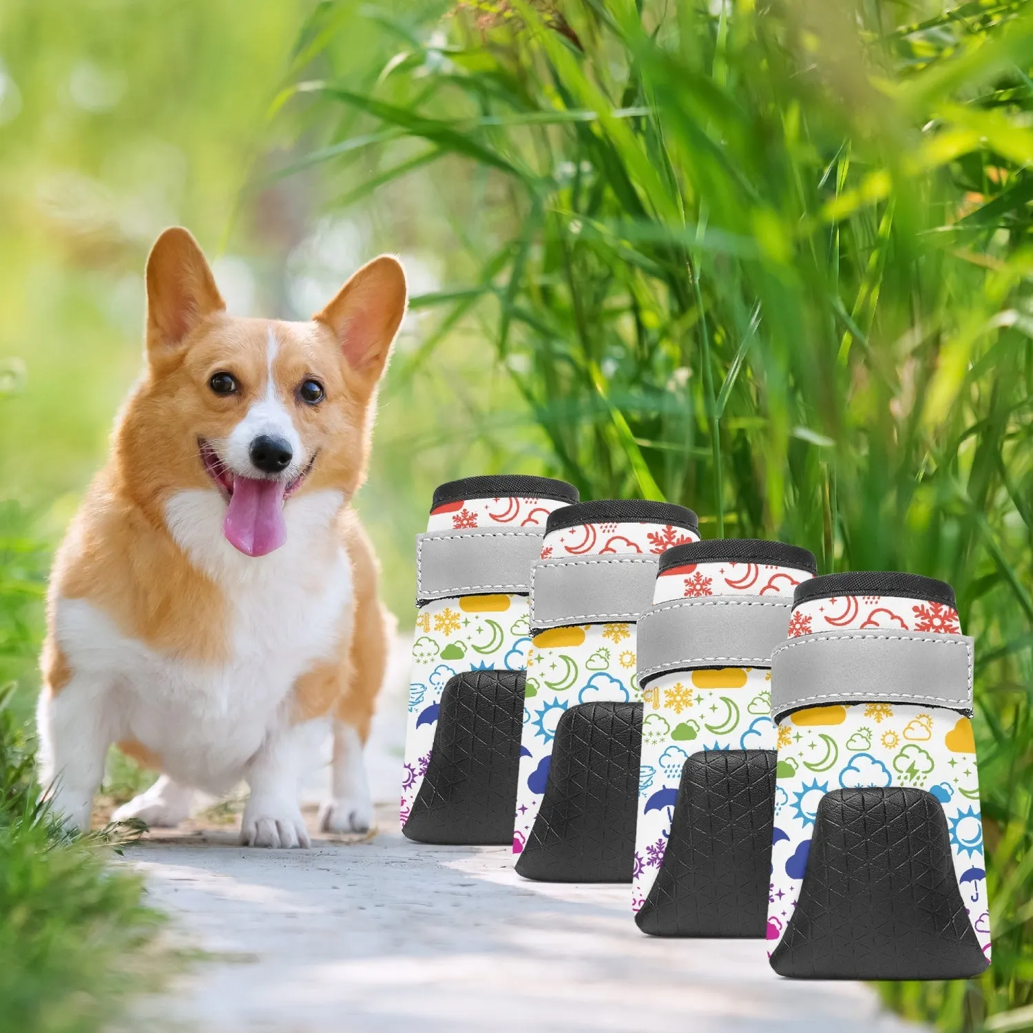 Wx Icon (White/Rainbow) Pet Booties